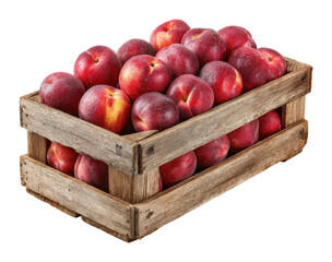 Harvesting fresh red apples in rustic wooden crate farm market food natural