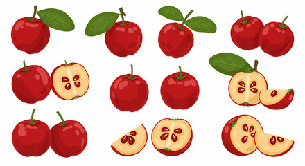 Vector set of acerola fruits: whole cherries with stems and leaves, halved showing juicy pulp, vibrant red tones, flat style ideal for vitamin-rich content or tropical packaging