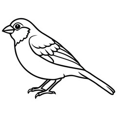 Line art bird (minimal sparrow)