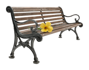 Relaxing moment on a park bench urban still life nature tranquility