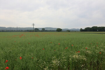 Blick in den regnerischen Saargau bei Merzig