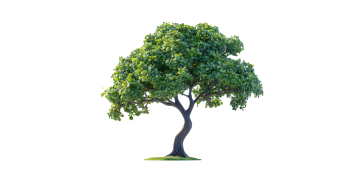 Lush Green Tree. Symbol Of Nature, Growth, And Environmental Conservation Isolated On Transparent Background
