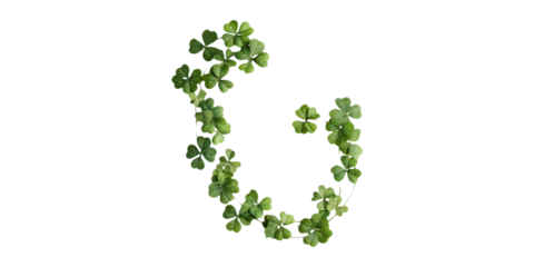Clover Vine Forming A Heart Shape. Symbol Of Luck And Love Isolated On Transparent Background