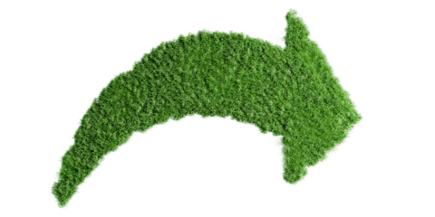 Curved arrow grass isolated on white