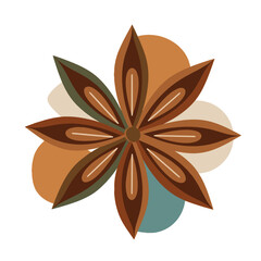 Geometric vector illustration of star anise spice on white background