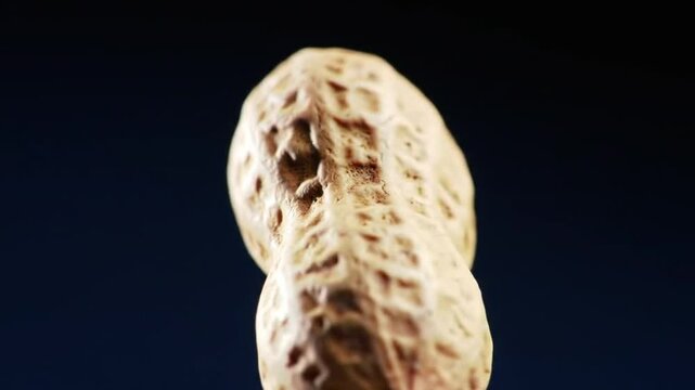 closeup of a peanut with a blue background