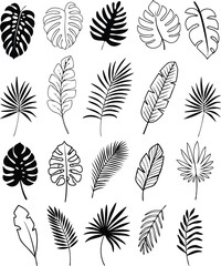 Tropical Palm Leaf Silhouettes Vector Pack

