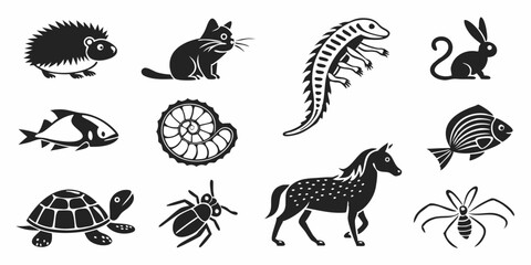 wild animals collection