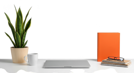 Minimalist desk setup with plant and laptop