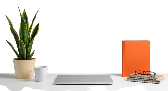 Minimalist desk setup with plant and laptop