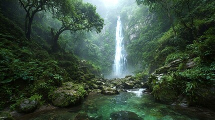 Obraz premium A lush green forest with a waterfall and a stream. The water is clear and the trees are tall. The scene is peaceful and serene