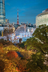 Roppongi Hills Winter Illumination and Tokyo Tower