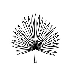 Fototapeta premium Palm fan leaf icon in black outline for botanical minimalist design
