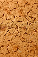 Fototapeta premium dry cracked earth