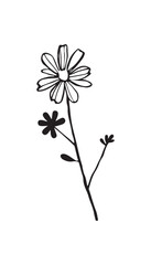 white flowers on white background silhouette