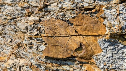 Weathered brown rock fracturing within stratified sedimentary surface, exposing intricate geological layering and rugged textural details
