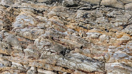 Weathered rock surface displaying layered geological textures, revealing intricate mineral patterns with muted gray and brown tonal variations