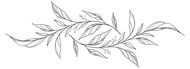 floral leaves line art isolated on white background. Divider doodle leaf and flowers, nature border decorative element vector illustration