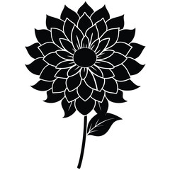 Fototapeta premium black and white flower vector