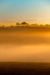 Early morning mist at sunrise at Kentdale in the Shire of Denmark, Great Southern region of Western Australia, WA, Australia.