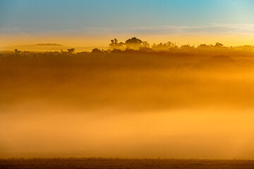 Early morning mist at sunrise at Kentdale in the Shire of Denmark, Great Southern region of Western Australia, WA, Australia.