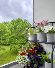 beautiful flower pots