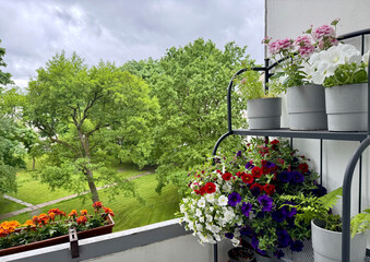 beautiful flower pots