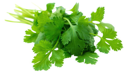 Fototapeta premium Fresh Green Cilantro Leaves Splash on transparent background