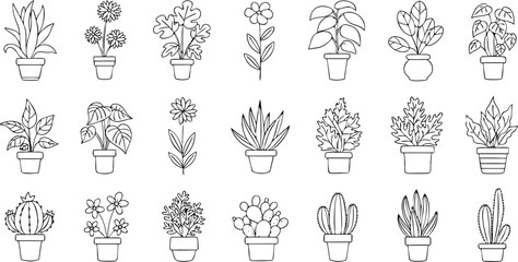 Collection of black and white line art illustrations featuring various houseplants and flowers