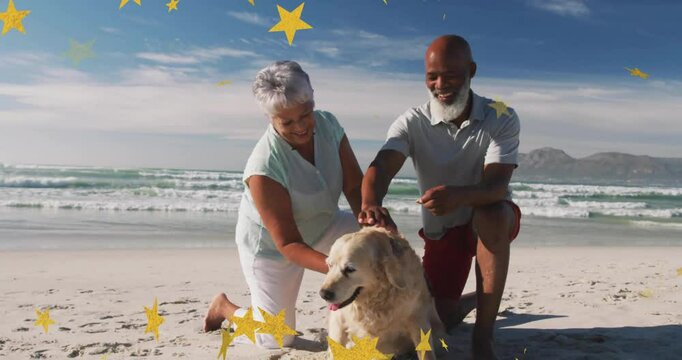 Animated stars drifting opening sequence as couple kneeling at shore petting retriever for pet care