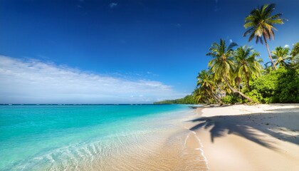 serene coastal paradise a breathtaking view of a sun kissed beach with azure waters and tropical palm trees inviting relaxation and peace