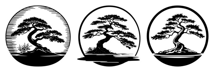 bonsai tree in circular zen design