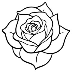Rose line art vector