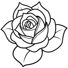 Rose line art vector