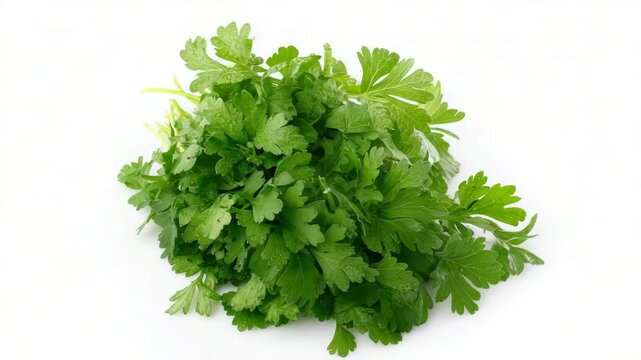 A bunch of fresh parsley on a white surface.