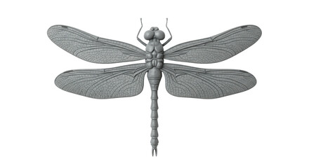 Isolated Dragonfly