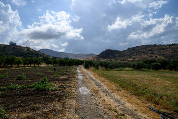 A peaceful rural dirt road winds through a green garden or orchard, leading toward the distant mountains in Cyprus.