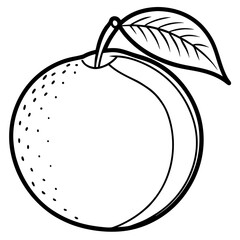 Sapodilla line art vector