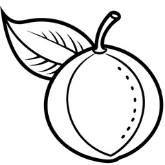 Sapodilla line art vector