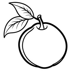 Sapodilla line art vector