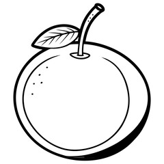 Sapodilla line art vector