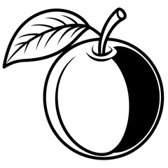 Sapodilla line art vector