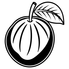 Sapodilla line art vector