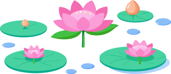 vector illustration of lotus flower