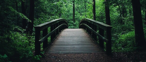 Obraz premium Wooden bridge with handcrafted railings crossing through dense forest path, nature trail surrounded by lush green trees and natural woodland scenery