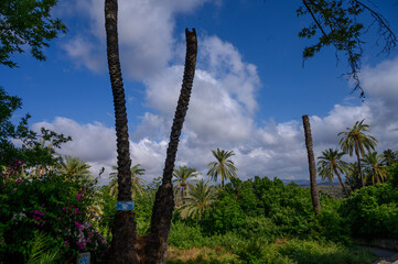Mountain View from Green Street in Cyprus