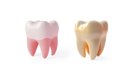 3D Glossy Tooth Rendering on a Transparent Background