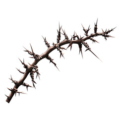 Thorny Branch with Sharp Spikes on a Transparent Background
