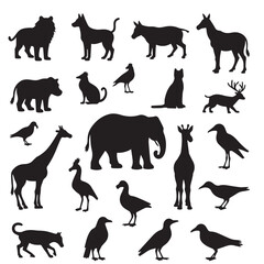 Collection of animal silhouettes black and white
