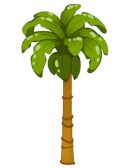 green palm tree